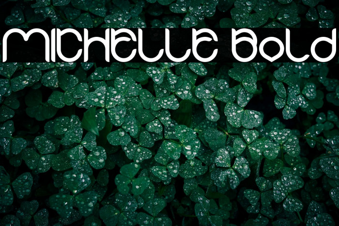 MICHELLE Bold Example 3