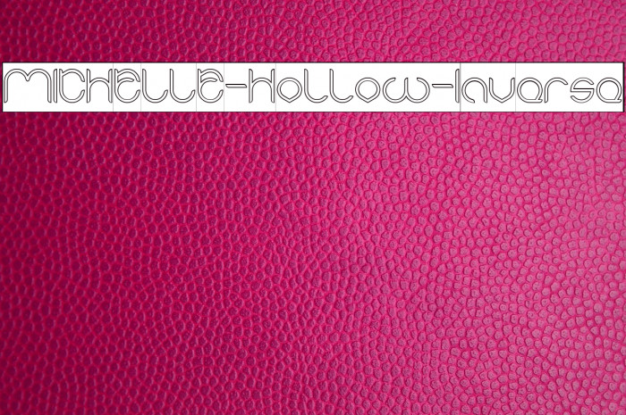 MICHELLE-Hollow-Inverse Example 1