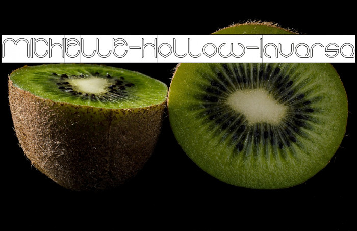 MICHELLE-Hollow-Inverse Example 2