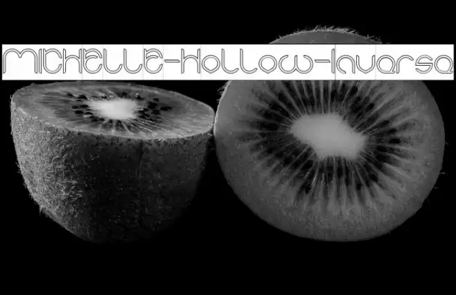 MICHELLE-Hollow-Inverse Font examples