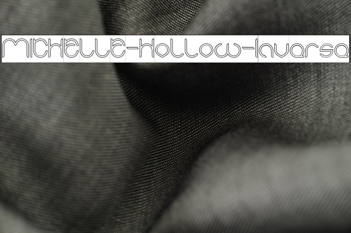 MICHELLE-Hollow-Inverse Example 3