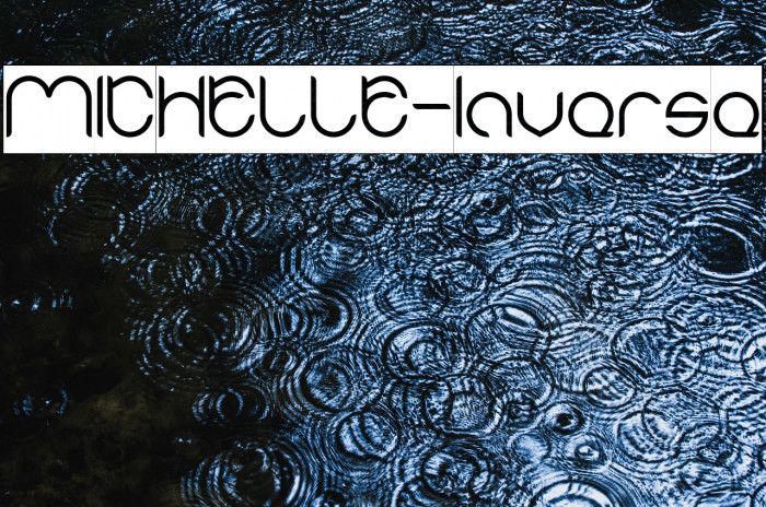 MICHELLE-Inverse Example 2