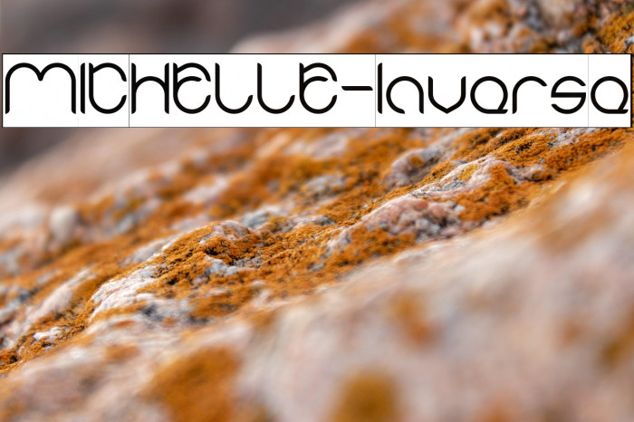 MICHELLE-Inverse Example 3