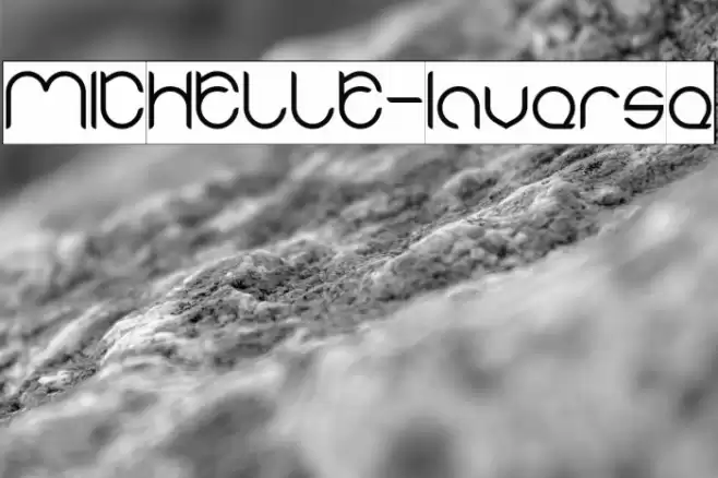 MICHELLE-Inverse Font examples