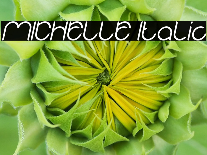 MICHELLE Italic Example 1