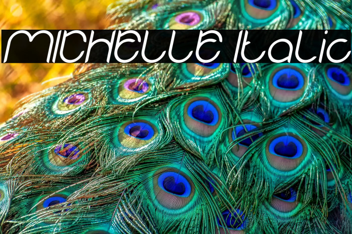 MICHELLE Italic Example 3