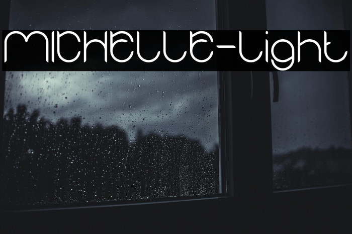 MICHELLE-Light Example 2