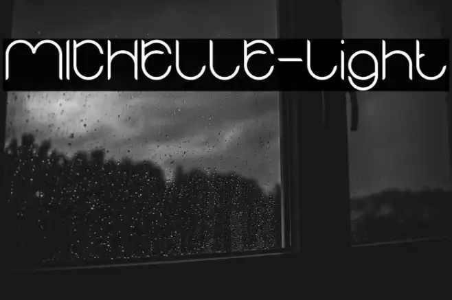 MICHELLE-Light Example 2
