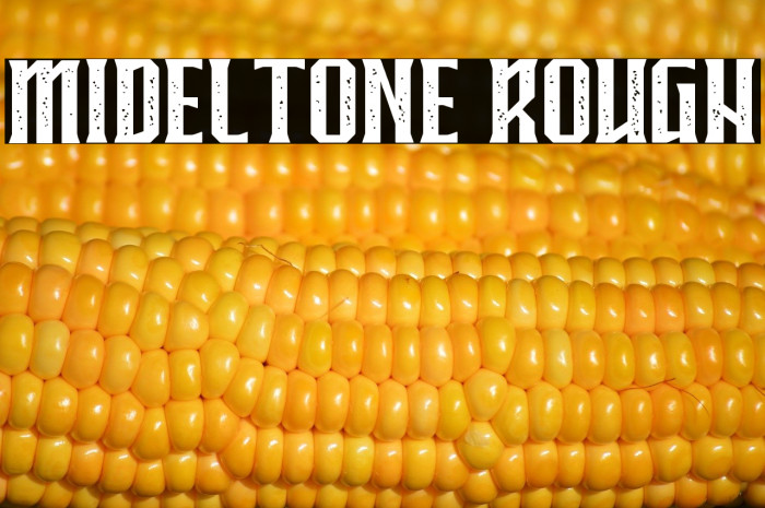 MIDELTONE ROUGH Example 1