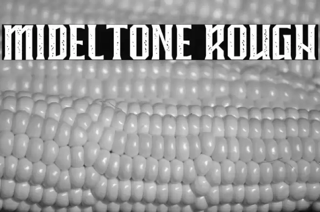 MIDELTONE ROUGH Font examples
