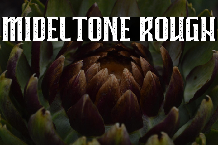 MIDELTONE ROUGH Example 2