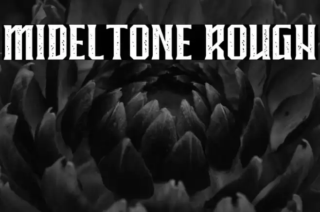 MIDELTONE ROUGH Font examples