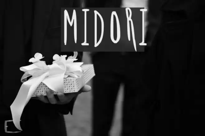 MIDORI Font examples