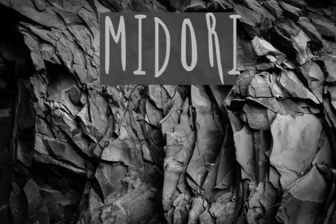 MIDORI Font examples