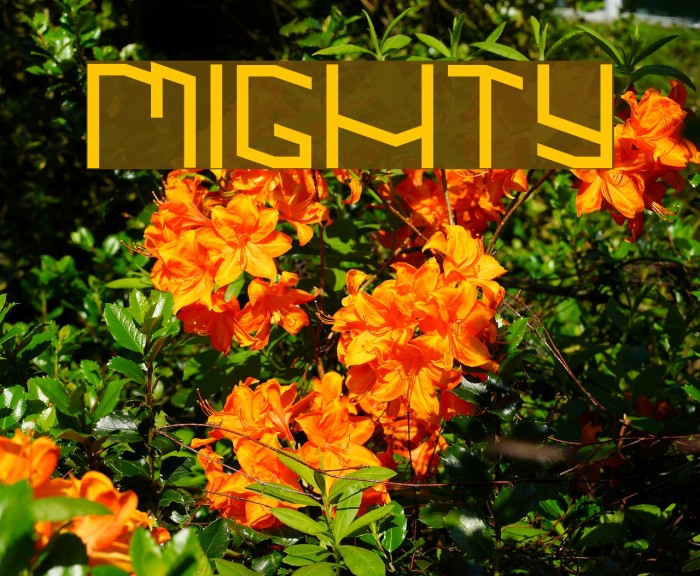 MIGHTY Font examples