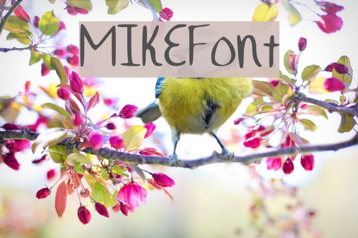 MIKEFont Example 2
