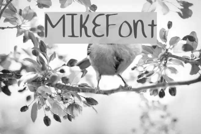 MIKEFont Font examples
