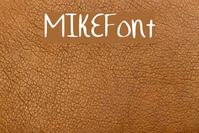 MIKEFont Example 3