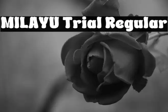 MILAYU Trial Regular Example 2