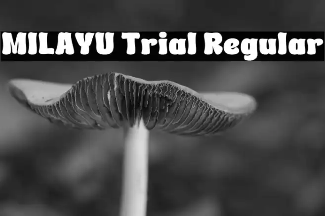 MILAYU Trial Regular Example 3