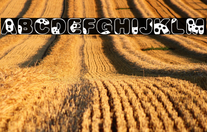 MILKYWAYPERSONALUSE-Bold Example 2