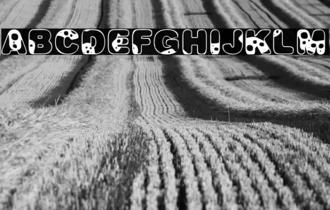 MILKYWAYPERSONALUSE-Bold Fuentes examples