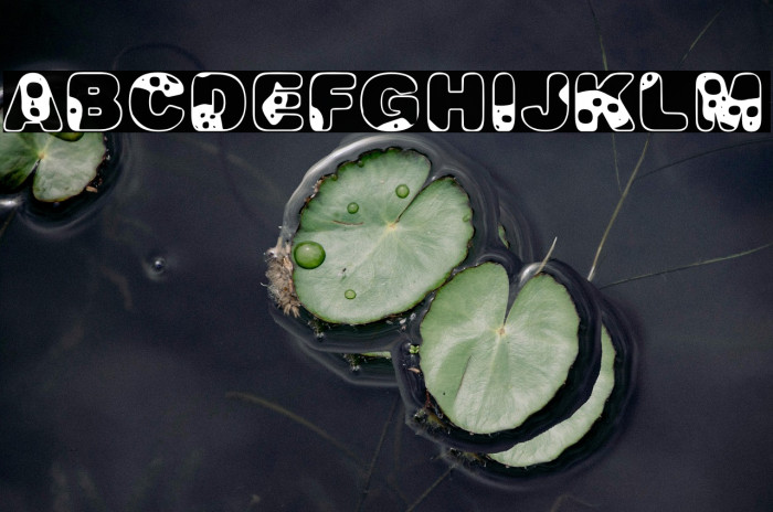 MILKYWAYPERSONALUSE-Bold Example 3