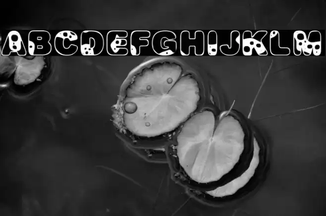 MILKYWAYPERSONALUSE-Bold Fuentes examples