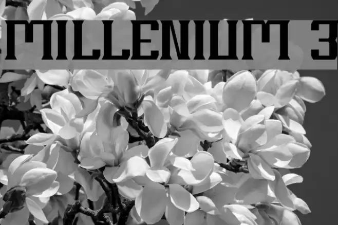 MILLENIUM 3 Font examples