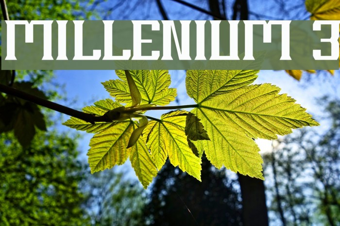 MILLENIUM 3 Font examples