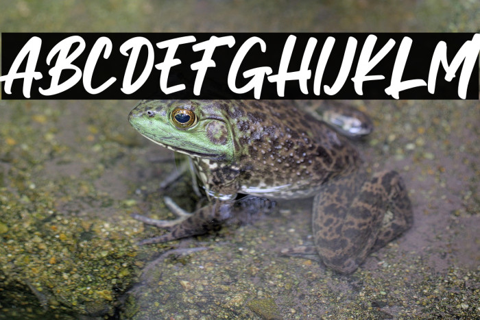 MILLESTONES - Personal Use Example 1