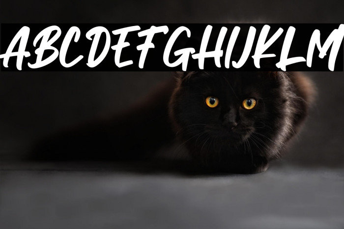 MILLESTONES - Personal Use Example 3