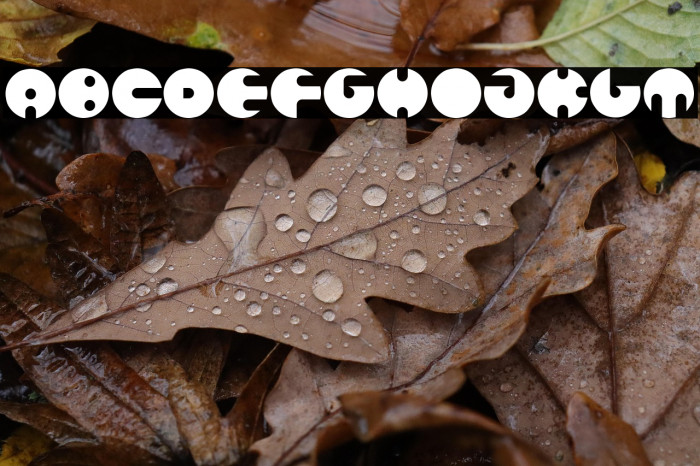 MILLION Bold Example 1