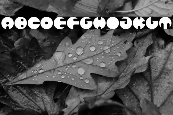 MILLION Bold Font examples