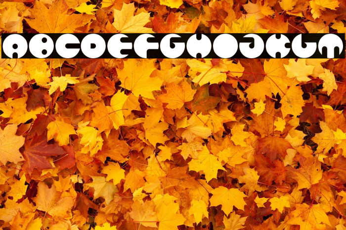 MILLION Bold Example 3