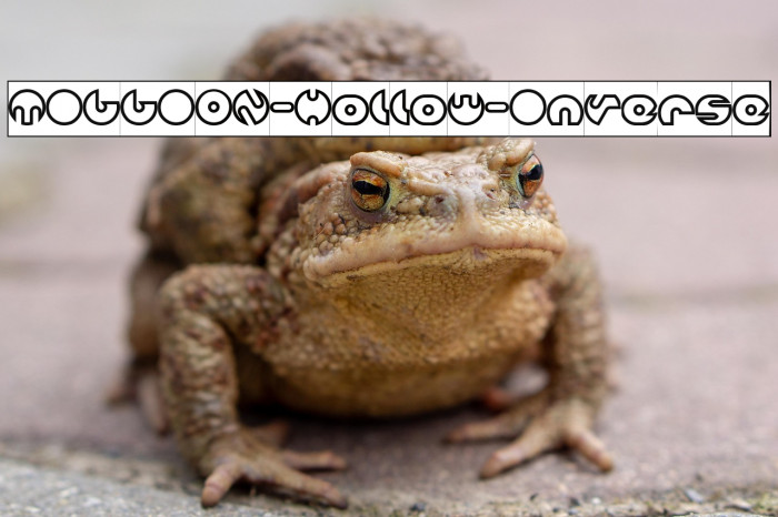 MILLION-Hollow-Inverse Example 1