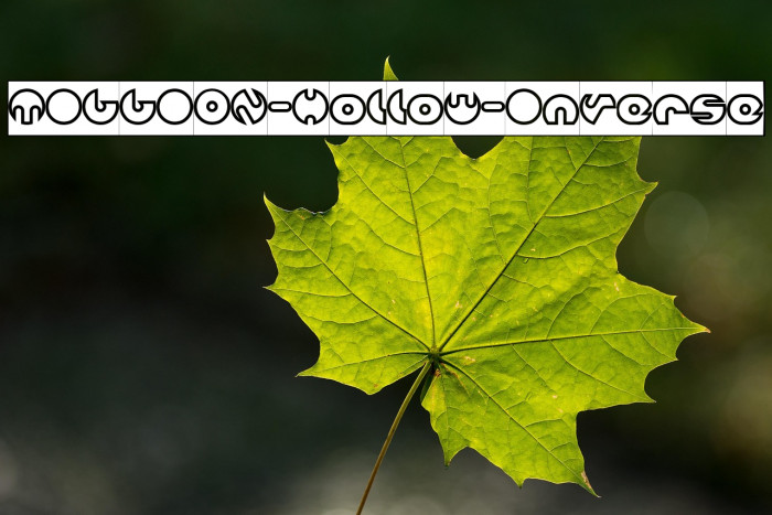 MILLION-Hollow-Inverse Example 2