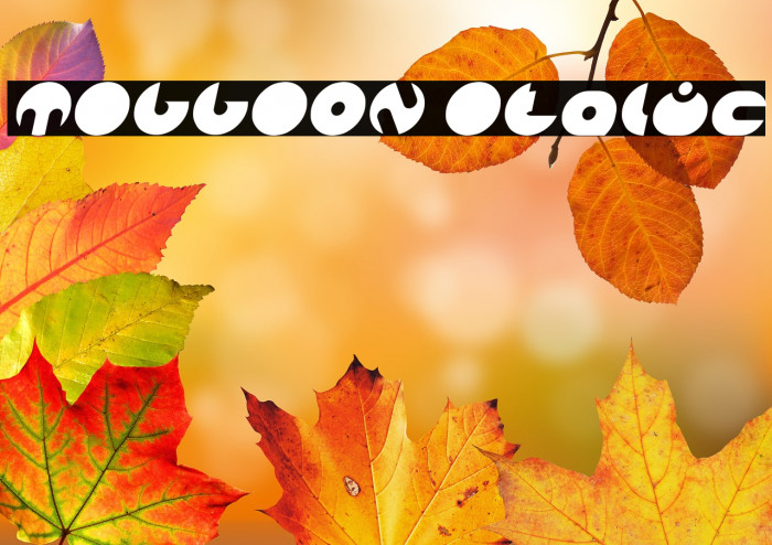 MILLION Italic Example 1