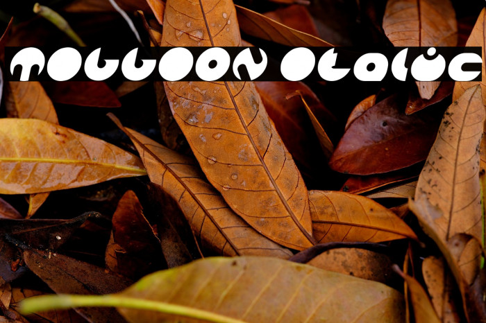 MILLION Italic Example 2