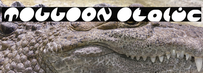 MILLION Italic Example 3