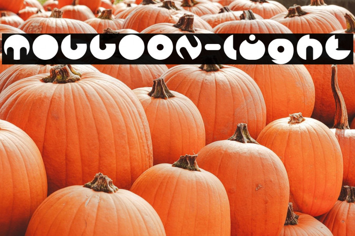 MILLION-light Example 1