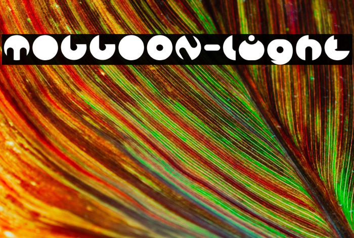 MILLION-light Example 2