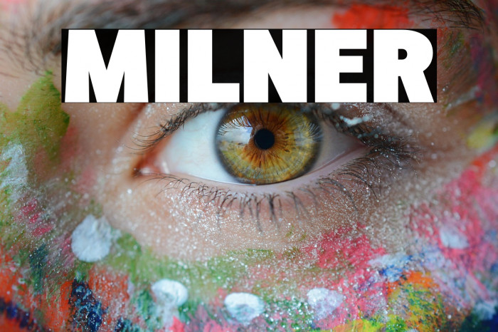MILNER Example 1