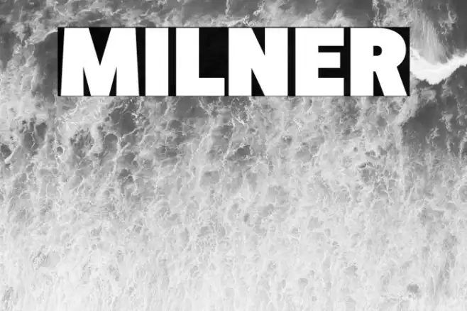MILNER Example 2