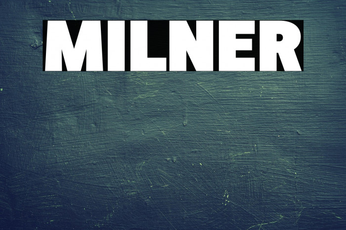 MILNER Example 3