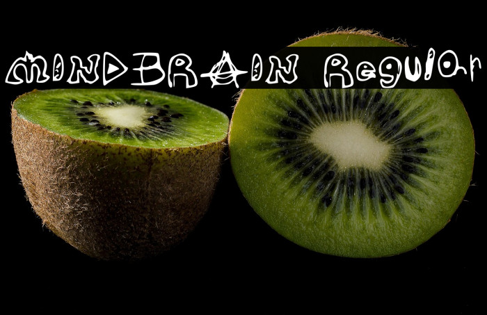 MINDBRAIN Regular Example 1