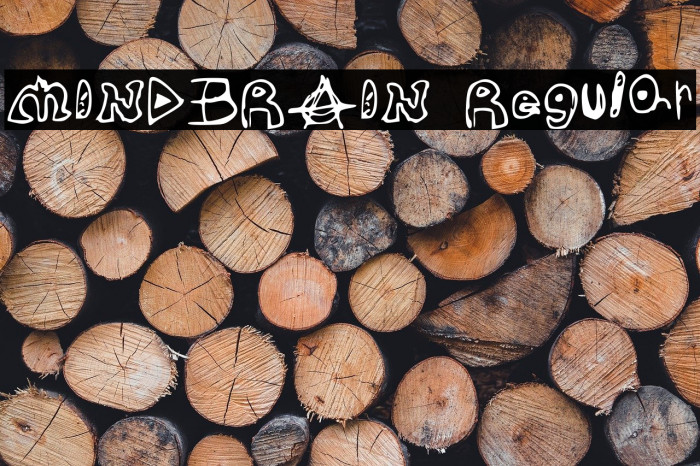 MINDBRAIN Regular Example 2