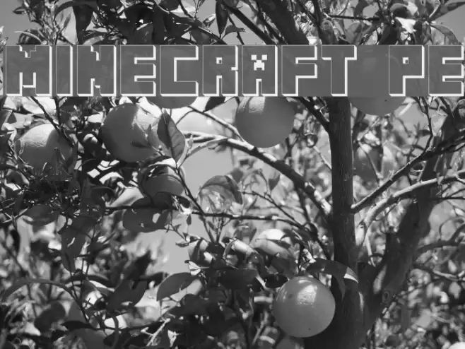MINECRAFT PE フォント examples