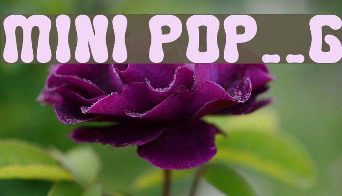 MINI POP__G フォント examples