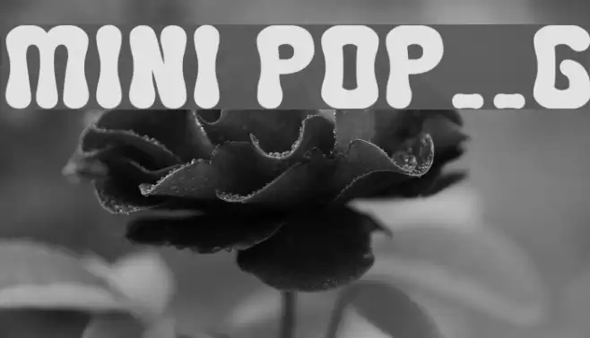 MINI POP__G Font examples